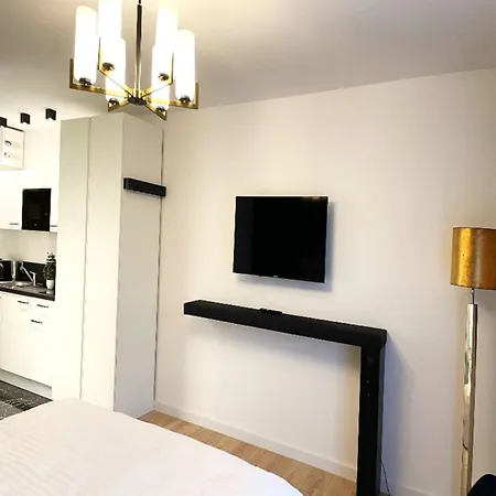 210 Salinenparc Design Budget *