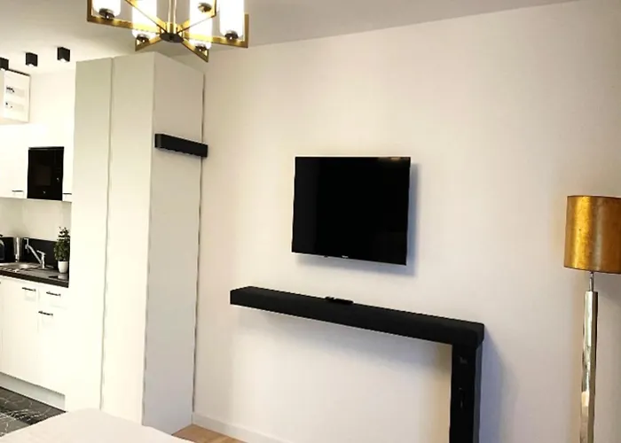 210 Salinenparc Design Budget *
